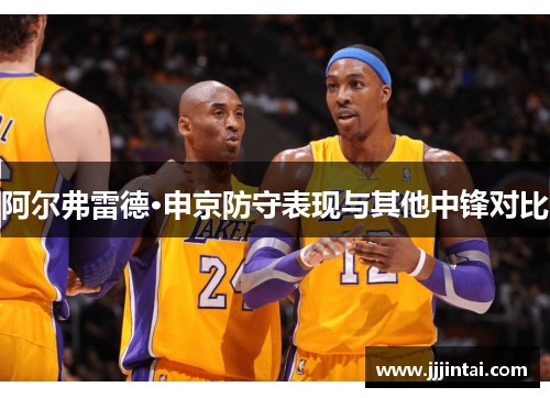 阿尔弗雷德·申京防守表现与其他中锋对比